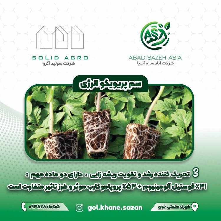سم قارچ کش پریویکور انرژی ۱ لیتری بایر آلمان