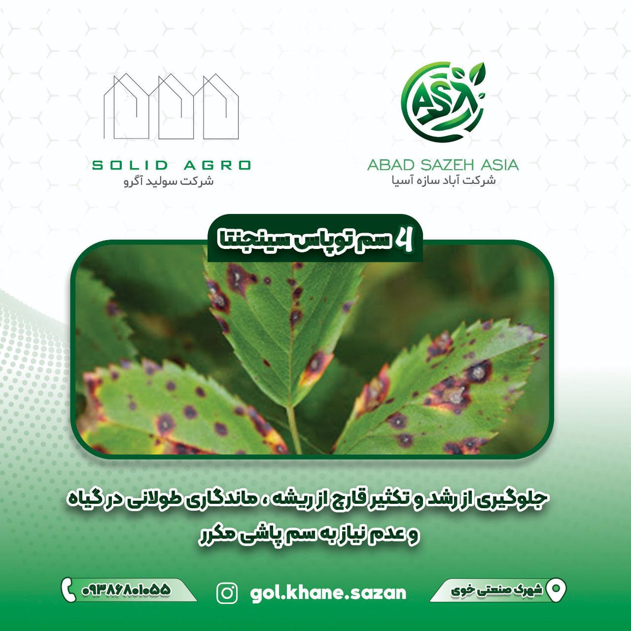قارچکش توپاس سینجنتا 100 سی سی (سینجنتا ) سوییس