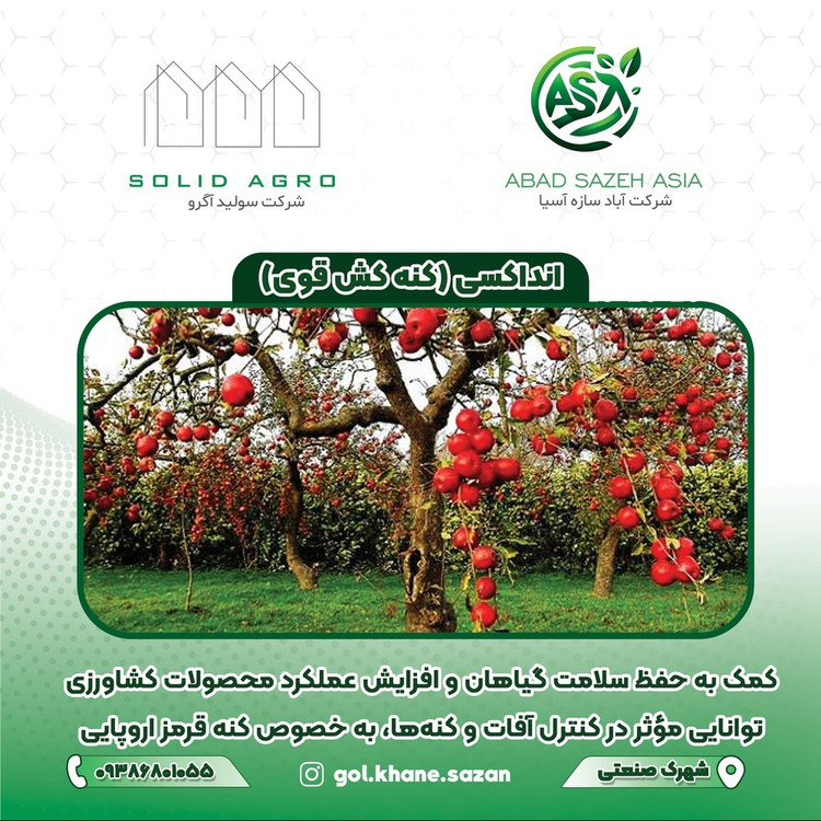 سم انداکسی 300 سی سی کنه کش قوی تایوان