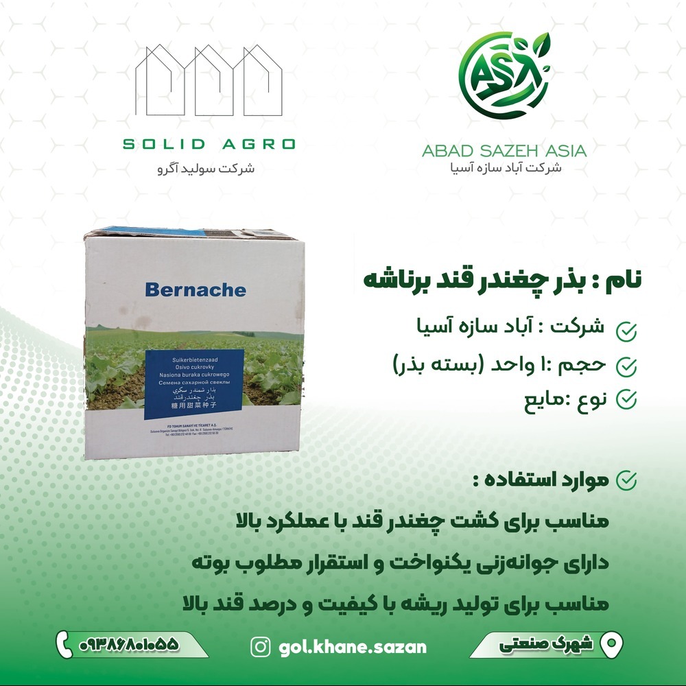 بذر چغندر قند