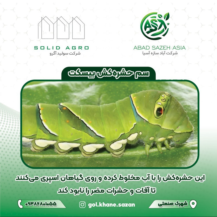 سم حشره کش بیسکت 200 سی سی