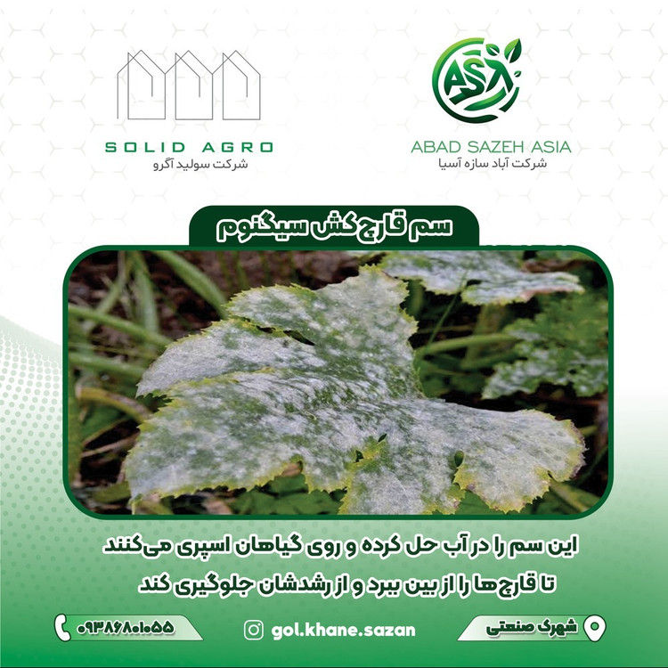 سم قارچ کش سیگنوم نیم کیلویی