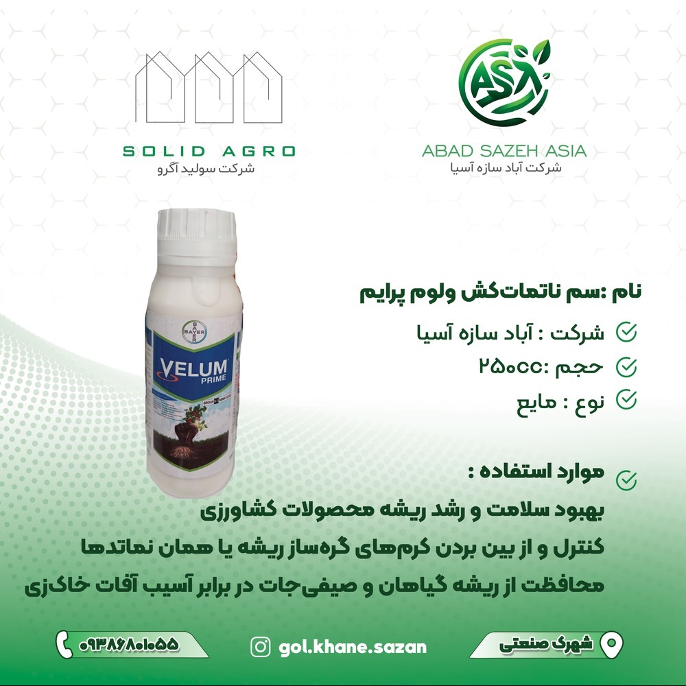 ولوم پرایم نیم لیتری بایر آلمان به سفارش کره
