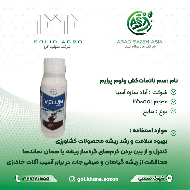 ولوم پرایم نیم لیتری بایر آلمان به سفارش کره