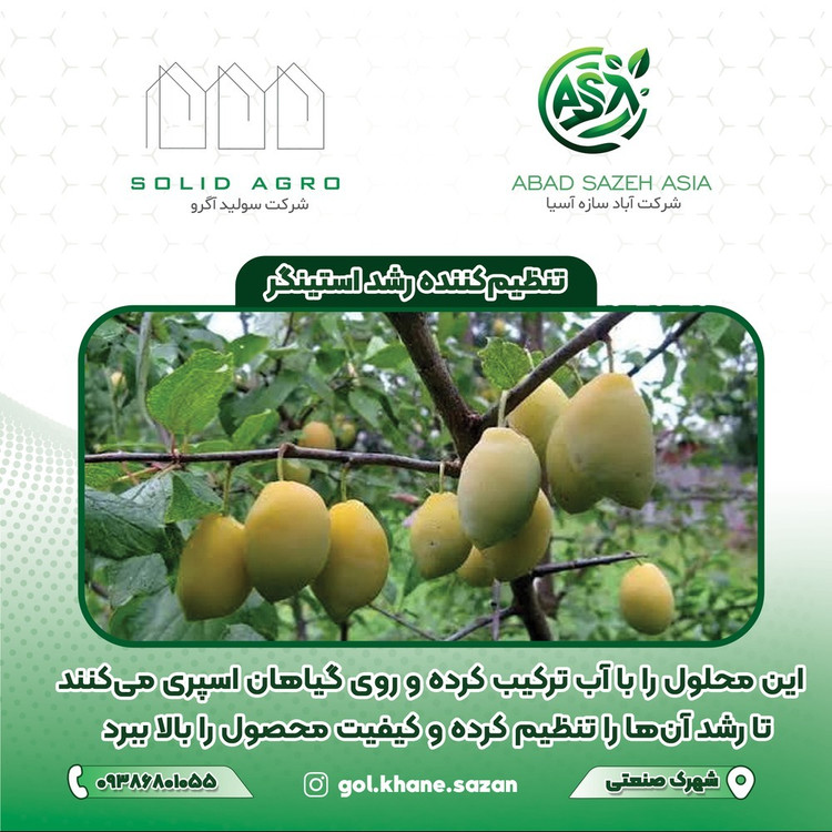 هورمون رشد استینگر
