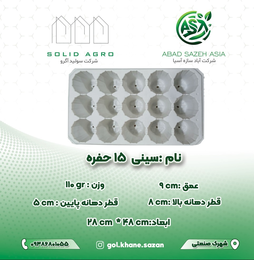 سینی نشا 15 حفره