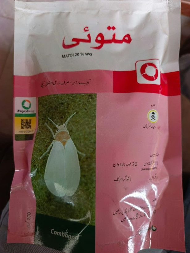 سم حشره کش متوئی بایر آلمان به سفارش پاکستان سفید بالک و شته