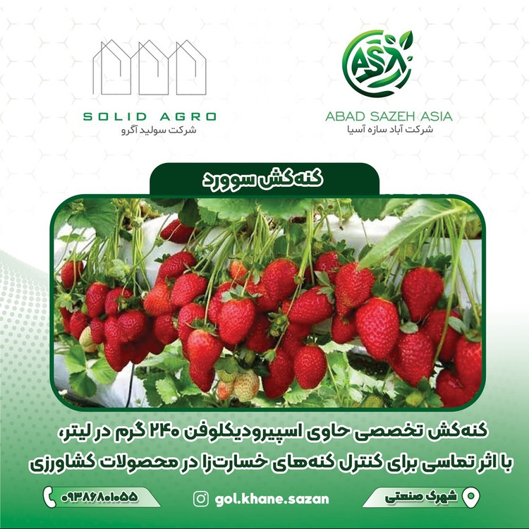 سم سورد عنکبوتی و تخم حشره و انواع حشره و پشه سفید 1 لیتری